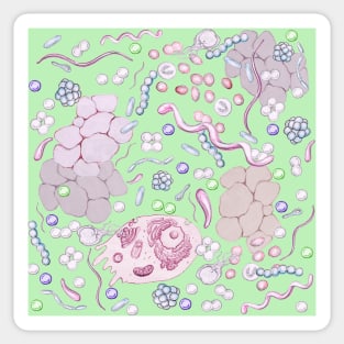 Microbiology Design in Green Sticker